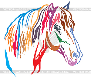 Colorful decorative portrait of horse  - vector image