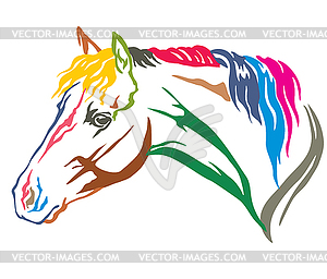 Красочный декоративный портрет лошади - изображение в векторе / векторный клипарт