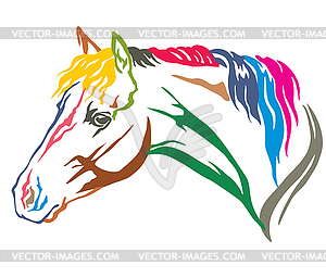 Colorful decorative portrait of horse  - vector EPS clipart