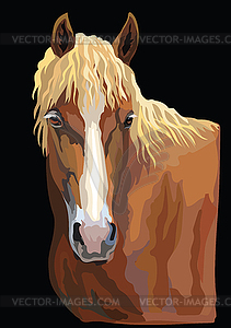 Colorful Horse portrait- - vector image