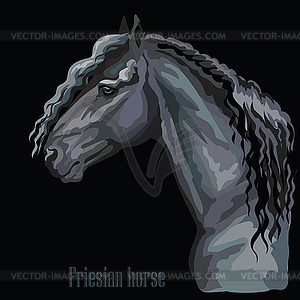 Colorful Horse portrait- - vector clipart