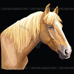 Colorful Horse portrait- - vector clipart