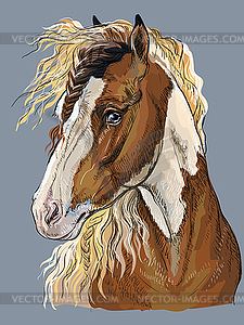 Colorful hand drawing Horse portrait- - vector clipart