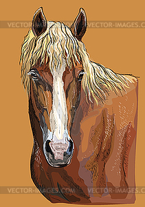 Colorful hand drawing Horse portrait- - vector clip art