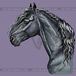 Colorful hand drawing Horse portrait- - vector clip art