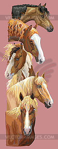 Postcard with horses  - vector image