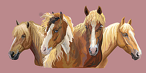 Set of horses breeds  - vector image