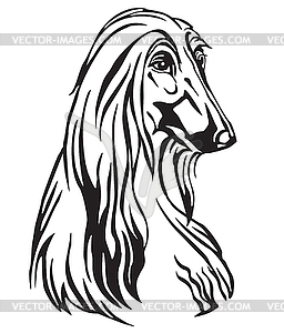 Decorative portrait of Dog Afghan Hound - vector clip art