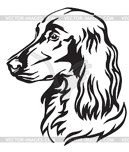 Decorative portrait of Dog Irish Setter - vector image