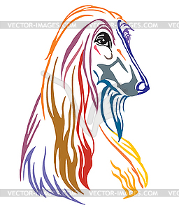 Colorful decorative portrait of Dog Afghan Hound - vector clip art