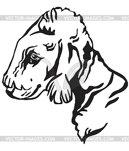 Decorative portrait of Dog Bedlington Terrier - vector image