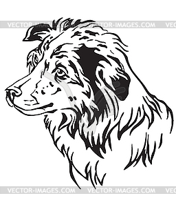 Decorative portrait of Dog Border Collie - vector clipart