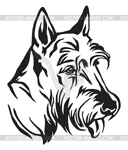 Decorative portrait of Dog Scottish Terrier - stock vector clipart