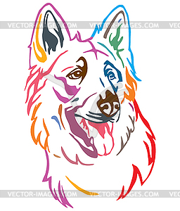 Colorful decorative portrait of Dog Berger Blanc - vector clipart