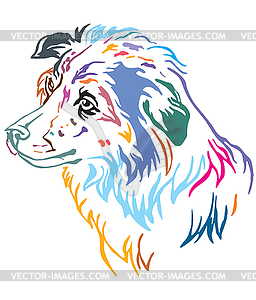 Colorful decorative portrait of Dog Border Collie - vector image