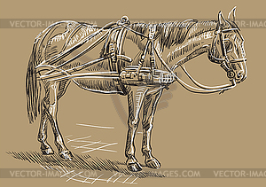 Brown horse in harness - vector image