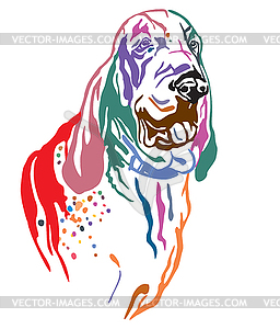 Colorful decorative portrait of Dog Bracco - color vector clipart