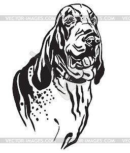 Decorative portrait of Dog Bracco Italiano - white & black vector clipart