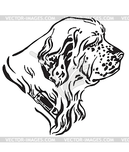 Decorative portrait of Dog Clumber Spaniel - vector clip art