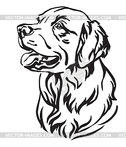 Decorative portrait of Dog Golden Retriever - vector clipart