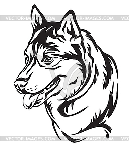 Decorative portrait of Dog Siberian Husky - vector clip art