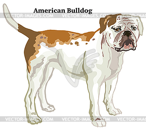 Colored decorative standing portrait of American - vector clipart