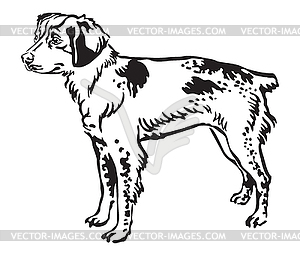 Decorative portrait of Brittany Dog - vector clipart