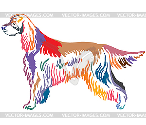 Colorful decorative portrait of Dog Gordon Setter - vector clipart