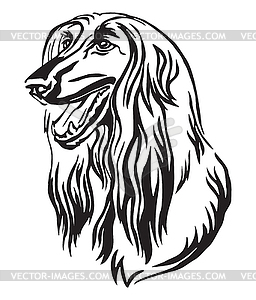 Decorative portrait of Afghan Hound Dog - vector clipart / vector image