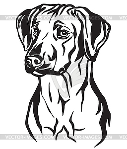 Decorative portrait of Rhodesian Ridgeback Dog - white & black vector clipart