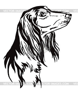 Decorative portrait of Saluki Dog - vector clip art