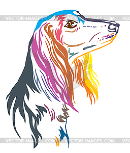 Colorful decorative portrait of Saluki Dog - vector clipart