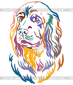 Colorful decorative portrait of Sussex Spaniel Dog - vector image