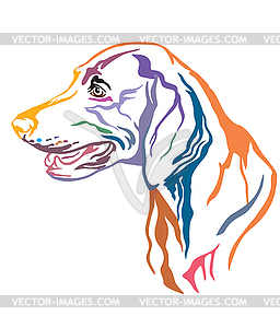 Colorful decorative portrait of Weimaraner Dog - vector image