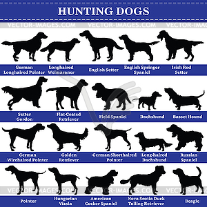 Hunting dogs silhouettes - vector clip art