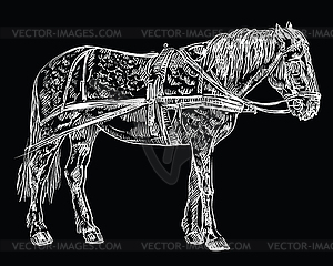 Harness horse black - vector clipart