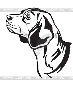 Decorative portrait of Beagle Dog - vector clipart