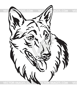 Decorative portrait of Czechoslovakian Wolfdog - white & black vector clipart
