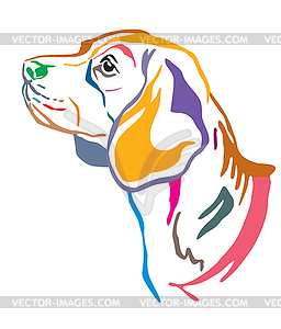 Colorful decorative portrait of Beagle Dog - vector image