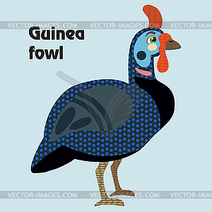 Cartoon guinea fowl - vector image