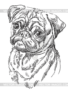 Pug hand drawing portrait - vector clipart