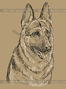 Beige German Shepherd hand drawing portrait - vector image