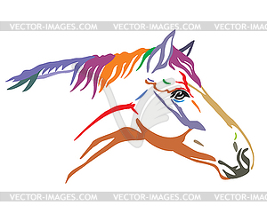 Colorful horse portrait - royalty-free vector image