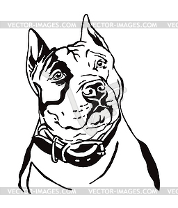 Decorative portrait of American Staffordshire - vector image