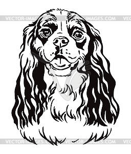 Decorative portrait of Cavalier King Charles Spanie - vector image