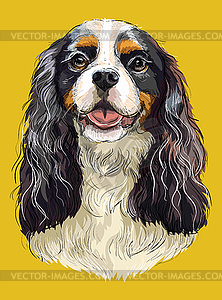 Cavalier King Charles Spaniel colorful hand - vector clipart