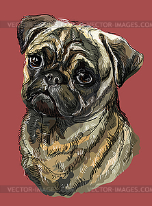 Pug colorful hand drawing portrait - vector clipart