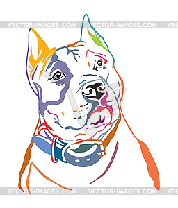 Colorful decorative portrait of American - vector clipart