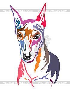 Colorful decorative portrait of Miniature Pinscher - vector clipart