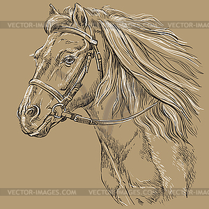 Лошадь портрет коричневый 21 - векторный дизайн